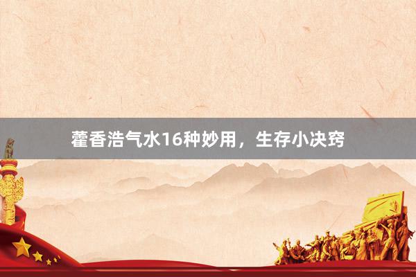 藿香浩气水16种妙用，生存小决窍