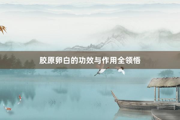 胶原卵白的功效与作用全领悟
