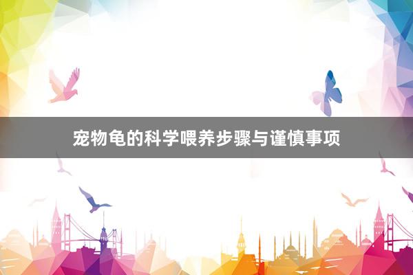 宠物龟的科学喂养步骤与谨慎事项